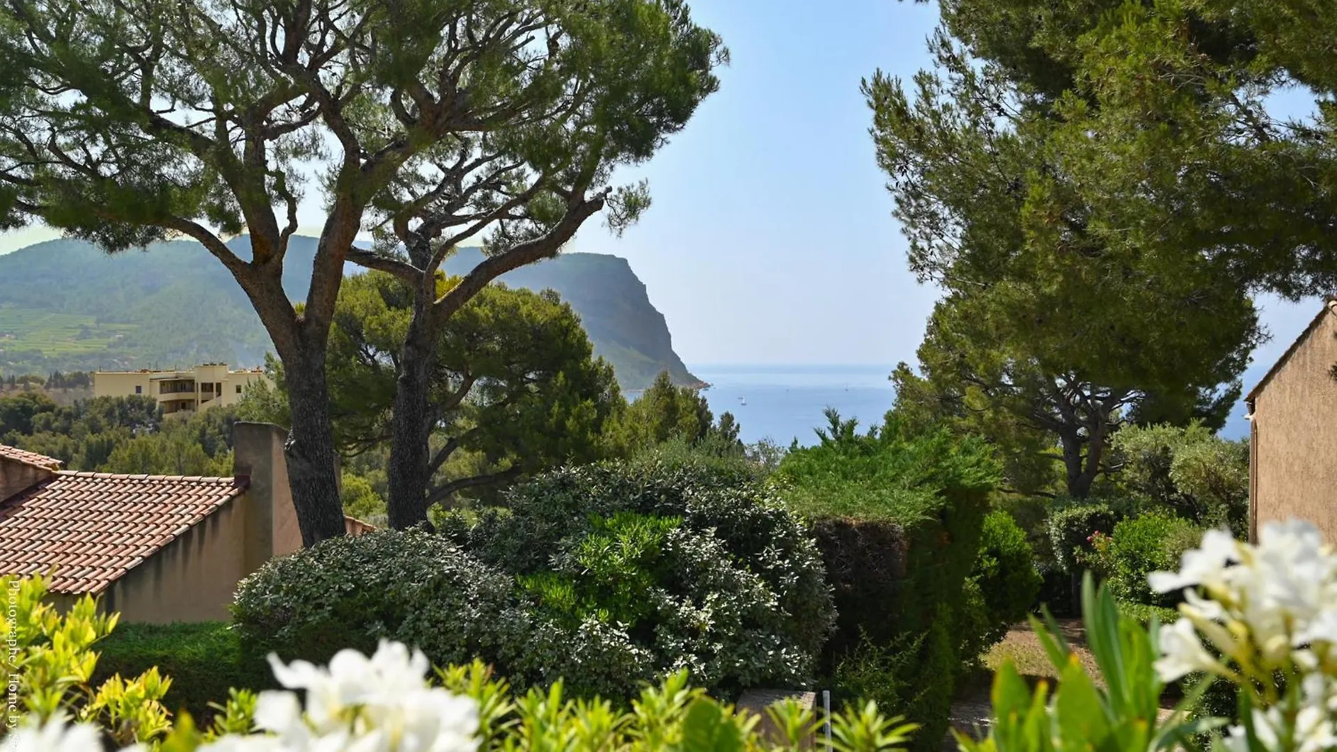Villa Les Nefliers Vue Panoramique Mer Et Plage A Pied Cassis