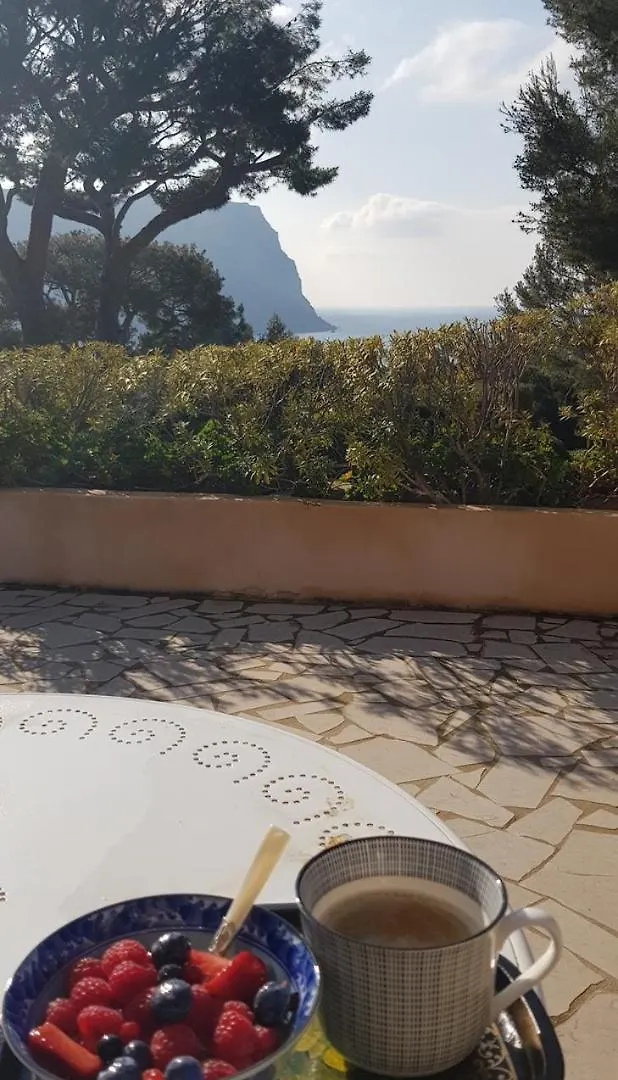 Villa Les Nefliers Vue Panoramique Mer Et Plage A Pied Cassis